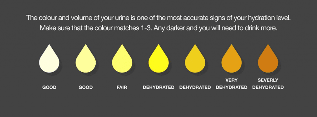 Chart for measuring hydration